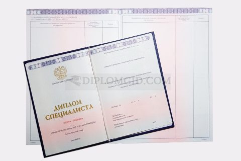 диплом РШЧП
